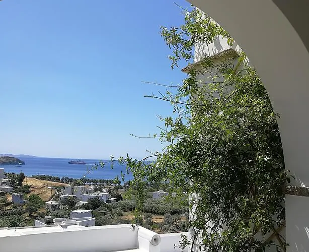 Panorama 3* كيونيا